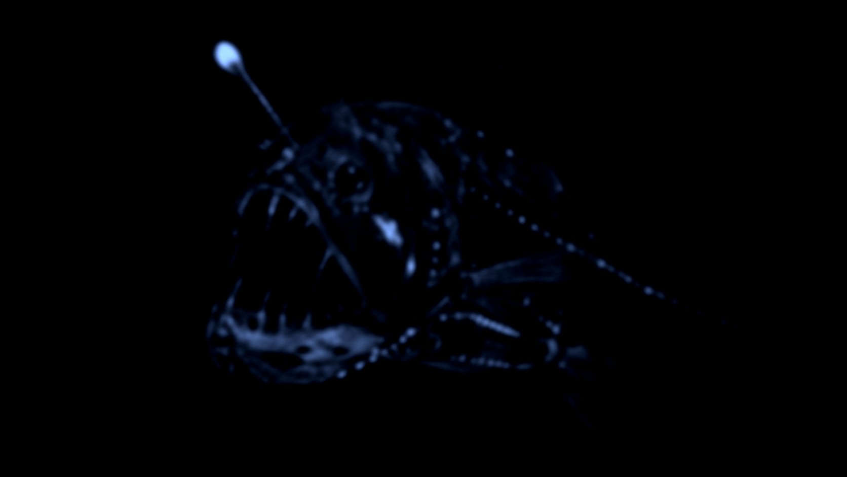 Dragonfish — See through their eyes
